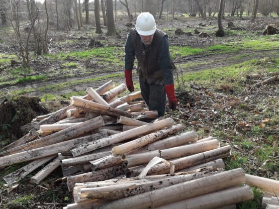 Man by pile of logs