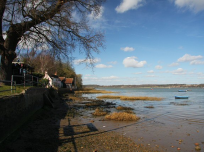 Landscape view of river bank