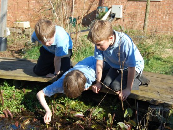 Group of schoolkids by a pond