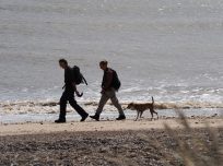 Couple and dog walking on beach