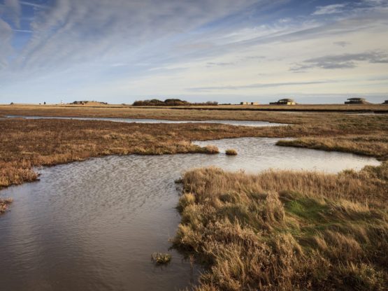 Winding river surrounded by marshes