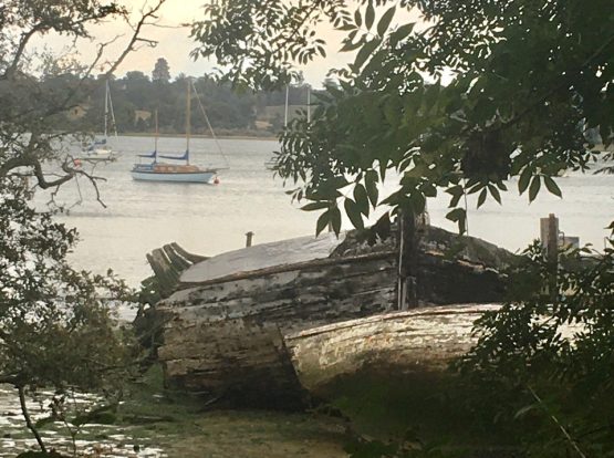 A photo of a shipwreck in the river