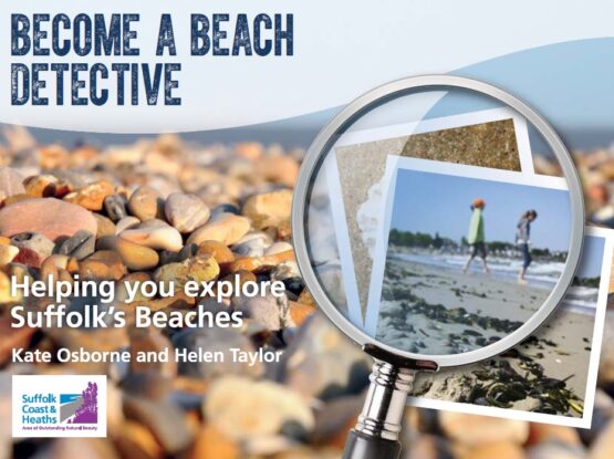 Beach Detective leaflet cover