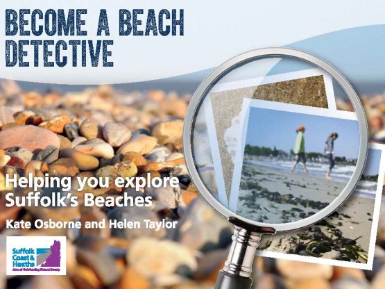Beach Detective front cover