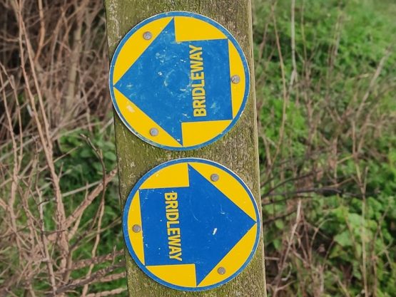 Two Bridleway Waymarker Discss
