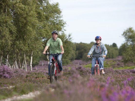 Couple cycling in the Heathland