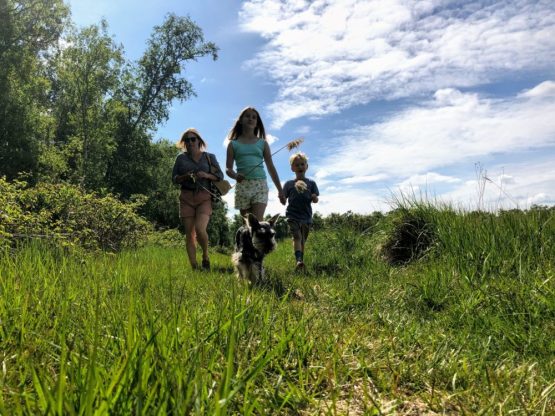 Family and dog walking in field