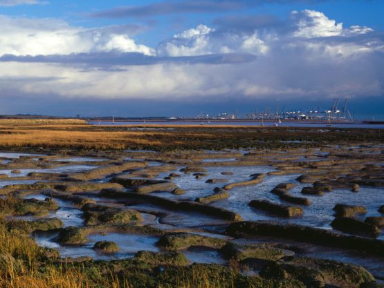 View of Felixstowe docks from Levington Creek