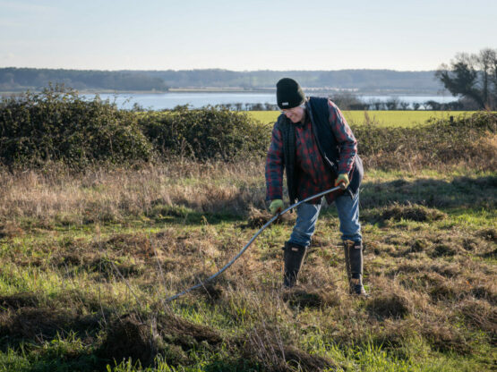 A volunteer raking a meadow