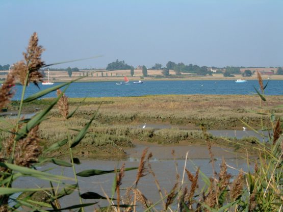 Distant view of boats on river