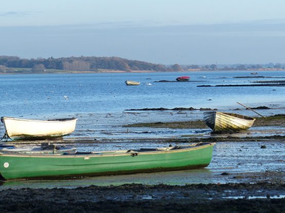 Rowboats by the river shore