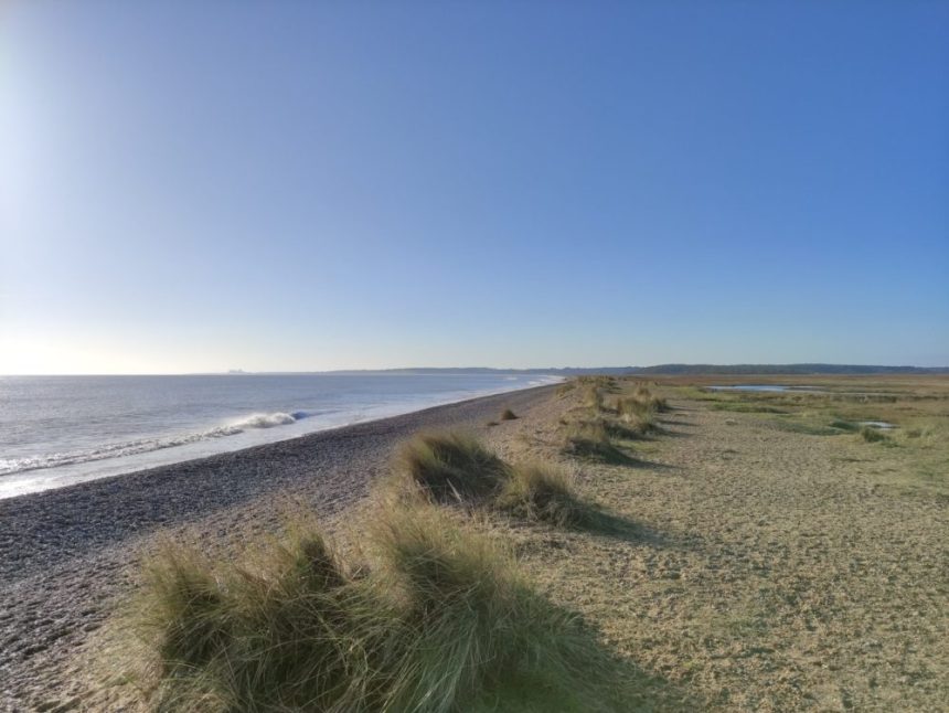 Sandlings Walk – Suffolk & Essex Coast & Heaths National Landscape