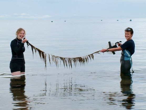 Two teens hold some discarded line in sea