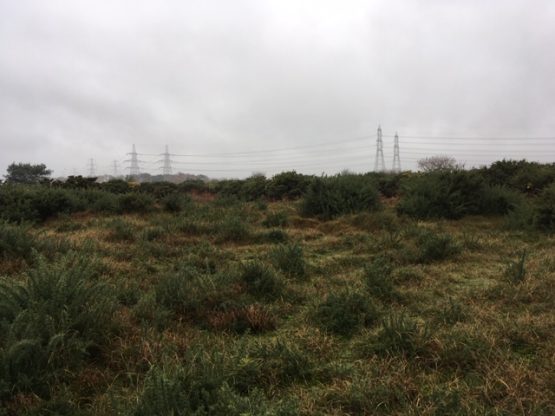 National Grid power lines near Aldringham