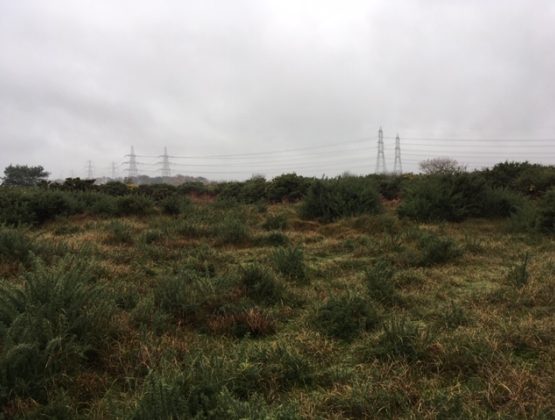 National Grid power lines near Aldringham