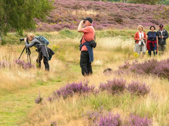 Group of people taking photos of landscape