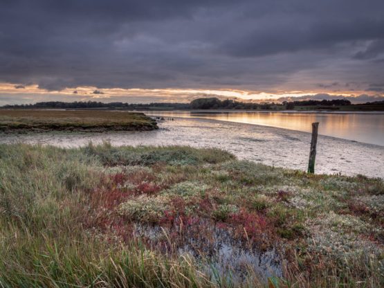 Dramatic dark skies over the river with plantlife in the foreground