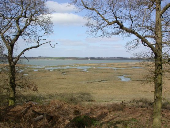 RSPB Stour Estuary reserve