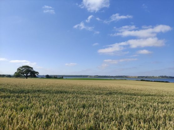 Farmland on the River Orwell