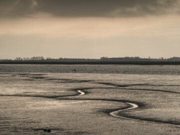 Salyward Mudflat