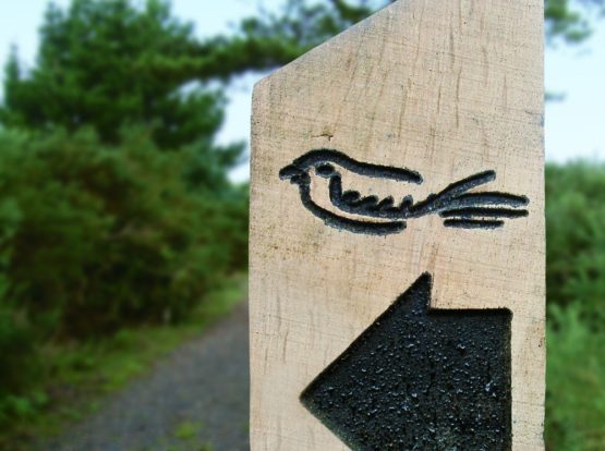 Closeup of signpost