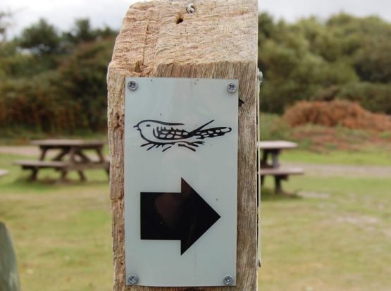 A close-up of a Sandlings Walk Waymark Disc