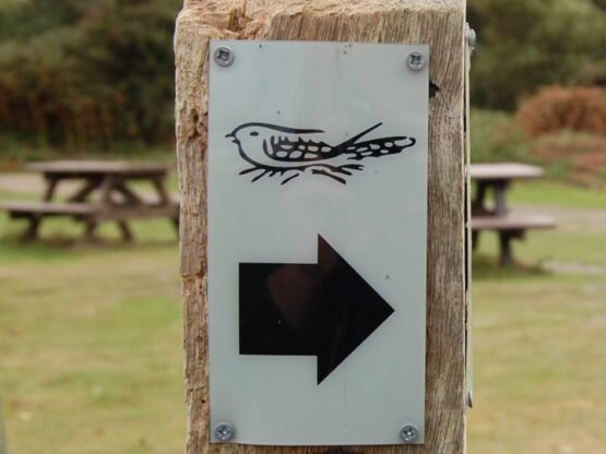 A close-up of a Sandlings Walk Waymark Disc {{brizy_dc_image_alt imageSrc=