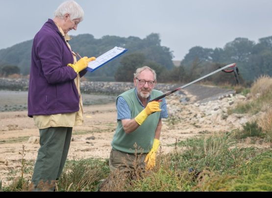 Volunteers collecting litter from a beach