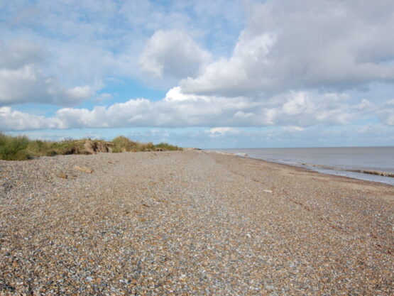 Landscape view of pebble beach